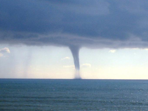 Tromba-marina