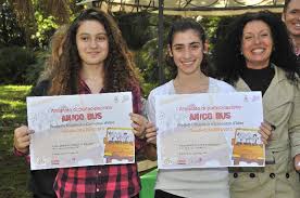 amico bus
