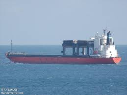nave cellulosa