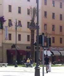 palma piazza grande