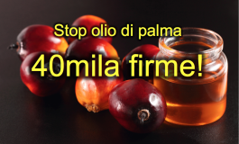 Prodotti all'olio di palma a rischio salute: Livorno in prima linea
