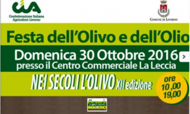 Il 30 Ottobre parte la festa dell'olivo e dell'olio