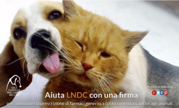 Animali domestici: petizione per farmaci a costo accessibile