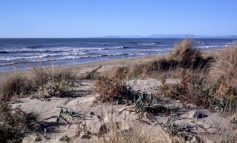 Darsena Europa e erosione fra Livorno e Pisa: "Un tubone riporterà la spiaggia sul litorale"