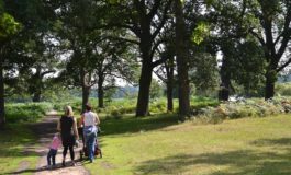 Le 10 regole per salvare il verde urbano