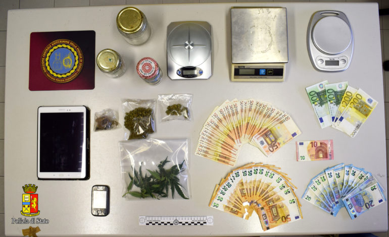 Piantagione di marijuana: arrestato livornese