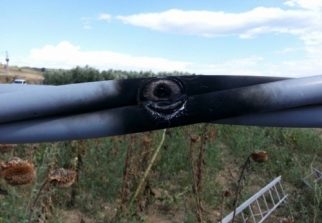 Caccia. I consigli di ENEL per l'avvio della stagione