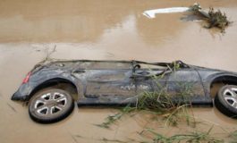 Alluvione: il WWF preoccupato dagli interventi di bonifica