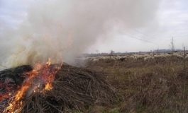 Nuovo incendio a Rosignano Marittimo