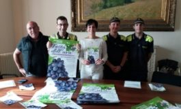 Festa dell'Uva di Collinaia 2018
