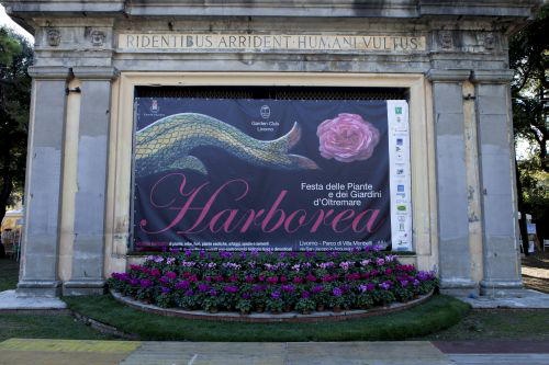 Presentata l’Ottava Edizione di Harborea
