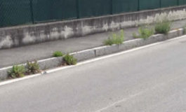 Manutenzione strade: sfalci in partenza su diverse provinciali