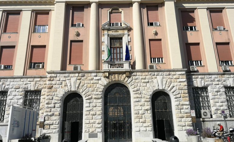 Livorno, profilassi anti-rabbica a una bambina graffiata da un pipistrello