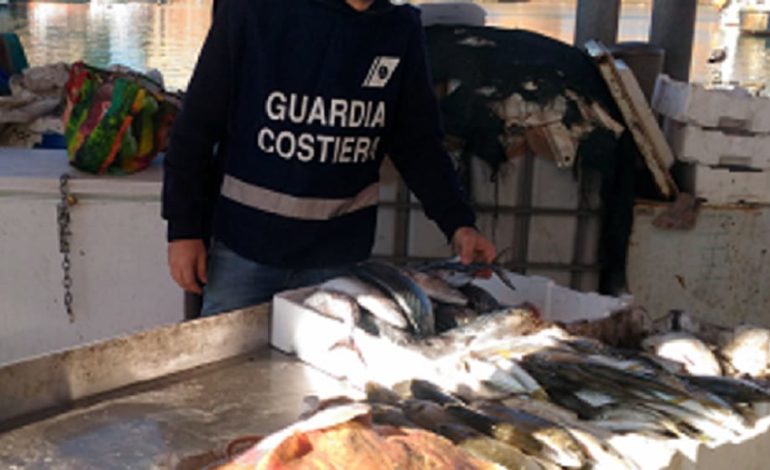 Prodotti ittici: sanzioni a ristoranti e venditori