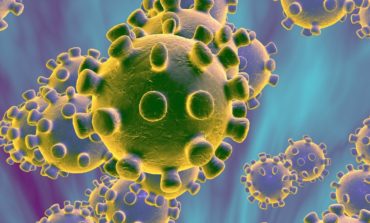 Coronavirus Toscana, 184 nuovi casi