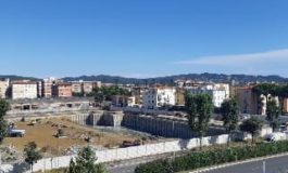 Lipu: “Danno ambientale l’abbattimento di alberi e siepi in viale Petrarca”