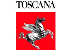 Servizi digitali regionali, webinar per gli amministratori locali