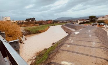 Piogge intense su Livorno, la protezione civile monitora i corsi d'acqua