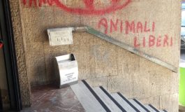 Denuncia contro ignoti per scritte "No Vax" apparse al distretto di Fiorentina
