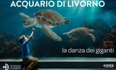 Acquario di Livorno, parte la stagione 2024