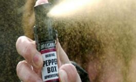 Spruzzano spray al peperoncino sul bus, denunciati due minorenni