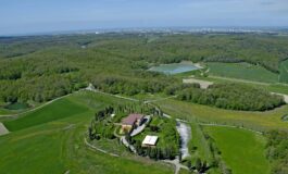 La tenuta Bellavista Insuese tra le aziende selezionate nel progetto “QM Export per la Blue e Green Economy"”