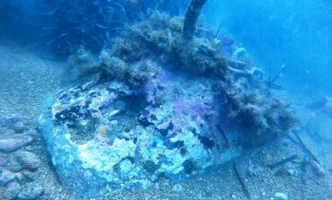 Brillato siluro della Seconda guerra mondiale al largo dell'Ardenza