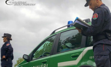 Tre persone denunciate per gestione illecita di rifiuti all'isola d’Elba
