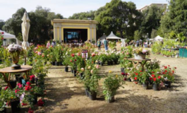 “Fioriture Urbane”: Fondazione LEM lancia il contest fotografico per la prima edizione primaverile di Harborea