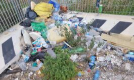 Mr. Green ancora in azione: ripulita via Mogadiscio, raccolti oltre 12 chili di rifiuti