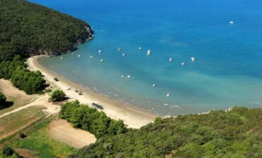 Cane muore a Cala di Forno, il Parco della Maremma avvia un'indagine: presunti maltrattamenti e abbandono