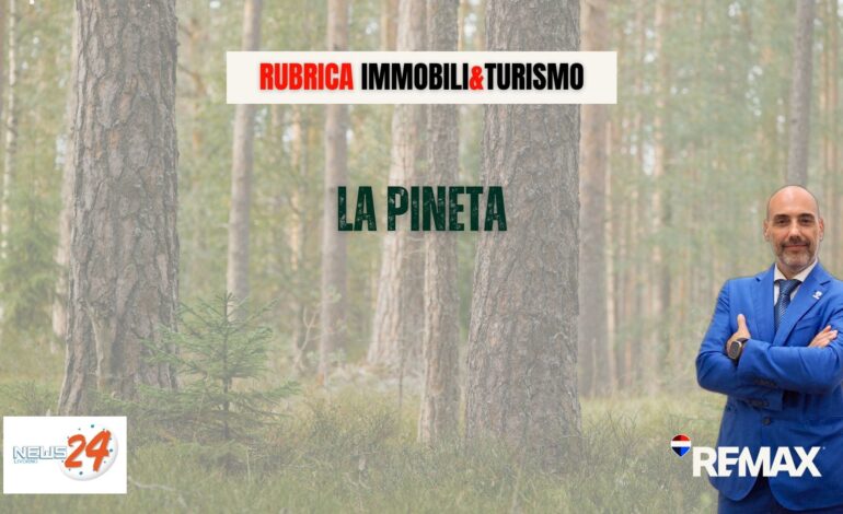 Pineta di Cecina: Vivere nel polmone verde