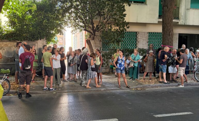 Taglio alberi viale Mameli, lavori momentaneamente sospesi. Salvetti: “Faremo valutazione più approfondita”