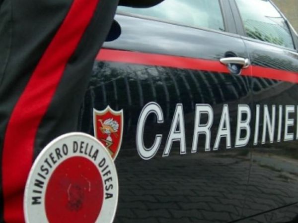 AUTO carab con paletta