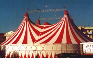 Circo