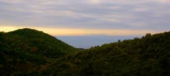 Colline livornesi
