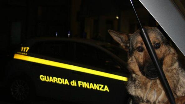 Guardia di Finanza con cane