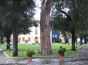 Museo di storia naturale