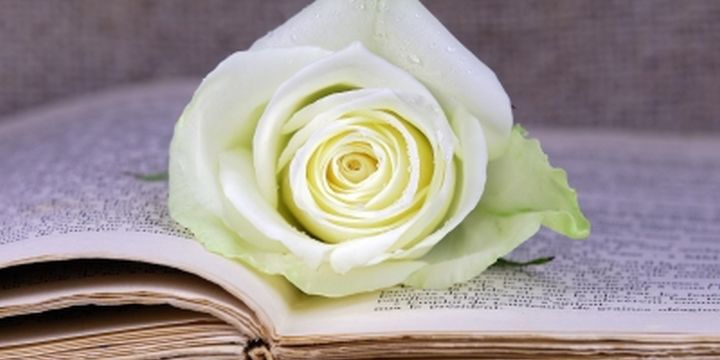 Poetesse