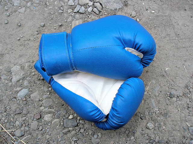 boxing-492282 640