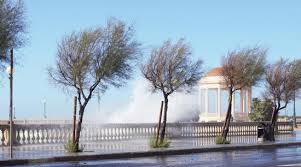 meteo