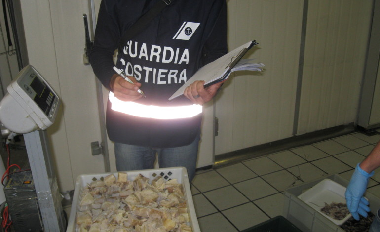 Sequestrate 2 tonnellate di pesce. Sanzioni per 85.000 euro