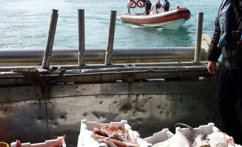 Sequestrati 220 chili di pescato a strascico