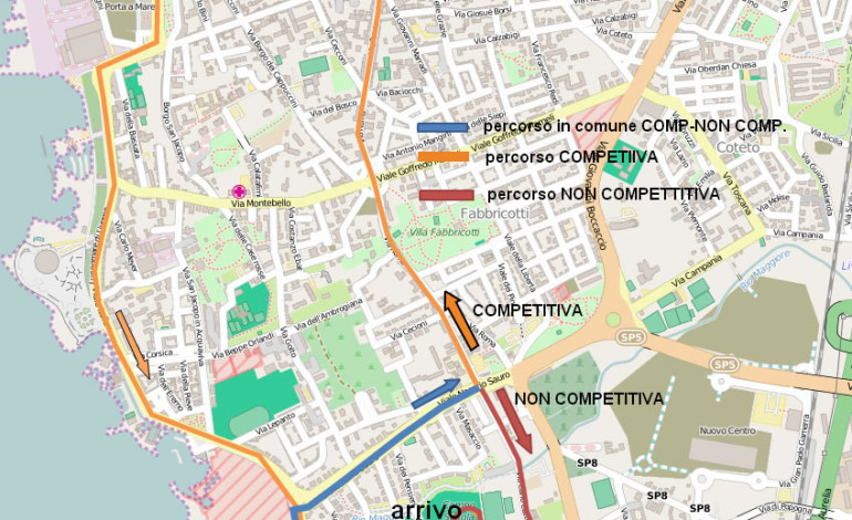 Al via la 33° edizione di VIVICITTÀ