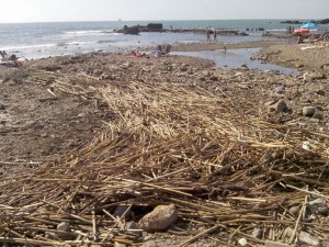 Spiaggia del Sale, al via i lavori di manutenzione