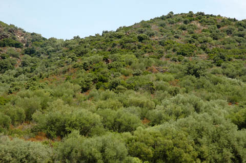 Scomparso 30enne in zona Limoncino