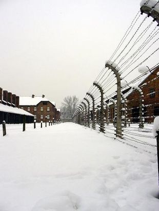 Scomparsa l’ultima sopravvissuta ai campi di sterminio