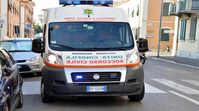 Avvelenati cani a esponente della Protezione Animali