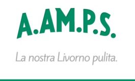 Raccolta di sfalci e potature: si può prenotare anche online