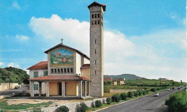 Alberi e piante fiorite ad ornare il quartiere Ardenza